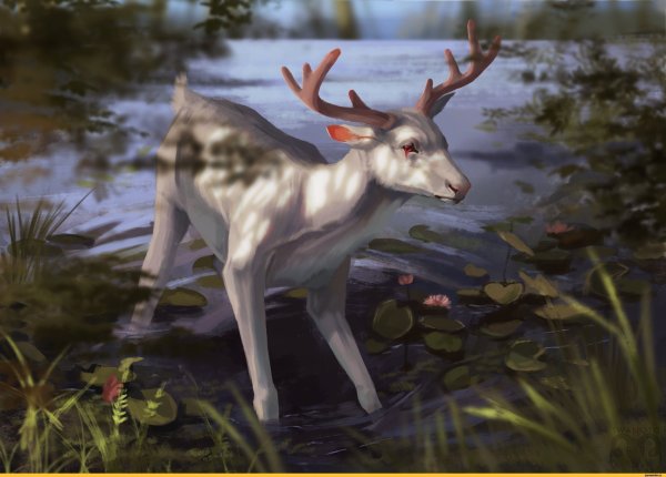 Пришвин олениха