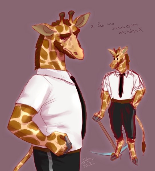 Жираф майншилд