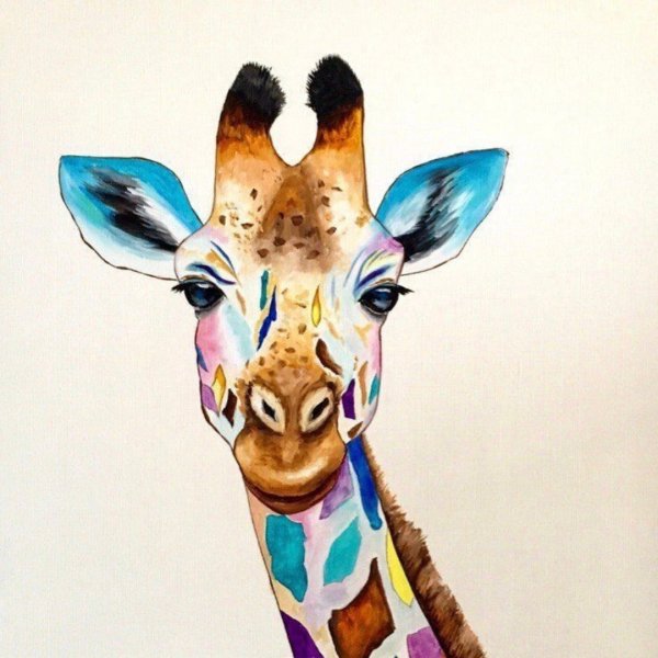 Разноцветные Жирафы