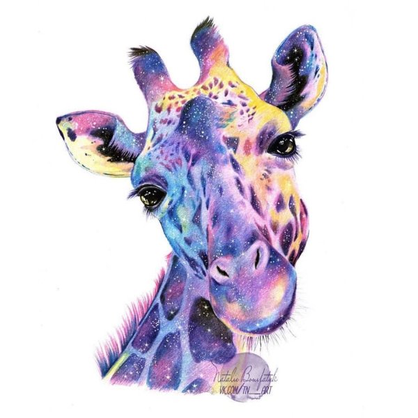 Гавриленкова космический Жираф