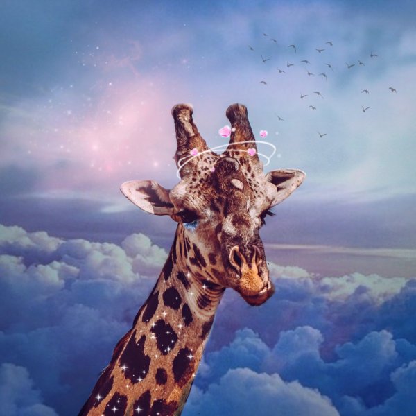 Жирафик Акакин