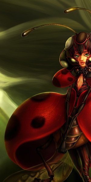 Божья коровка арт