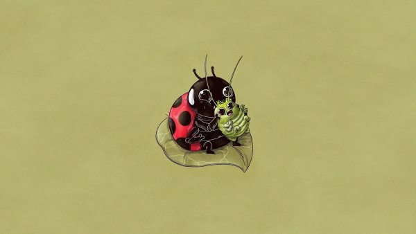 Минимализм животные