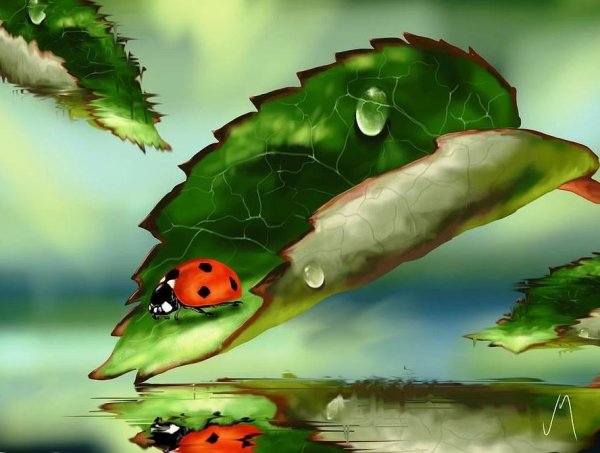 Veronica Minozzi художница