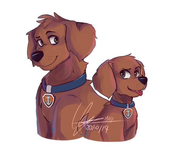 Щенячий патруль Зума и Кукки любовь