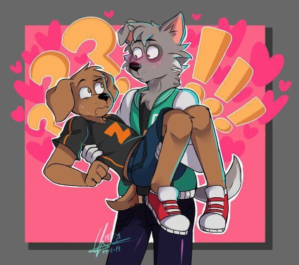 Рокки и Зума любовь