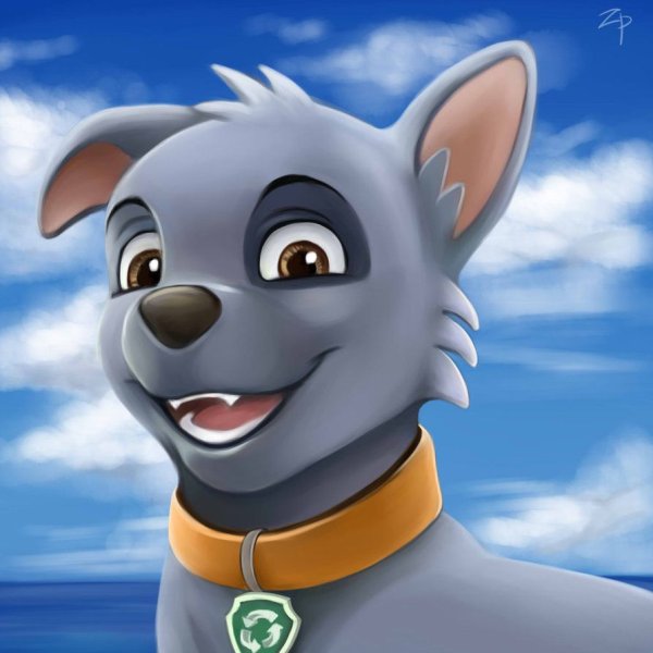 Paw Patrol Рокки и Скай