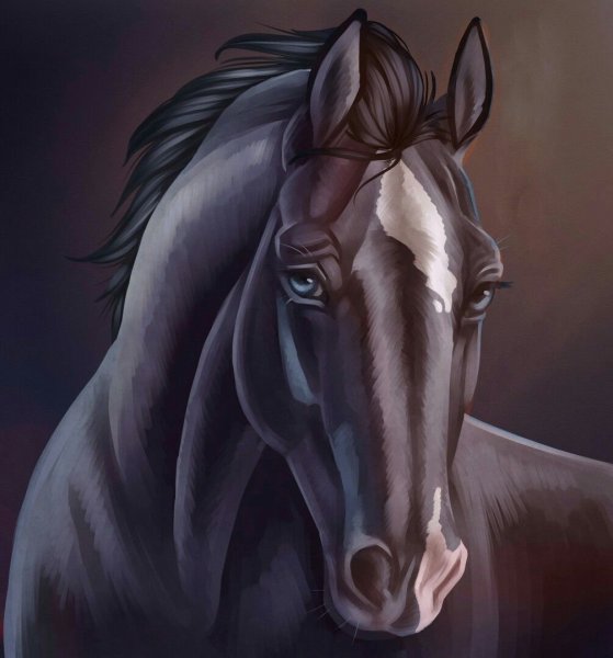 Лицо лошади