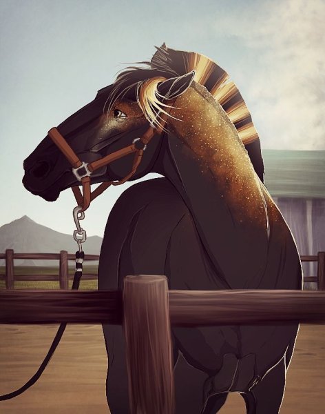 Арты лошадей