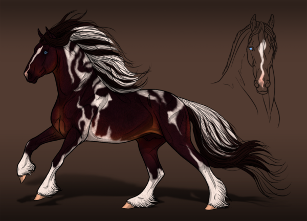 Референс мастей лошадей