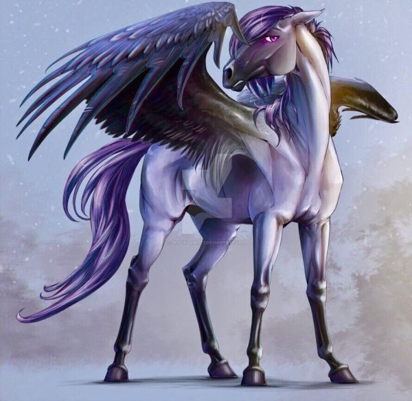 Лебер мифологический конь