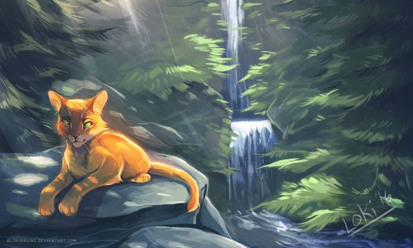 Коты Воители Огнезвёзд Звёздное племя