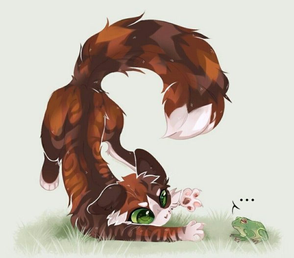 Коты Воители Рыжинка