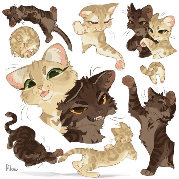 GRAYPILLOW коты Воители