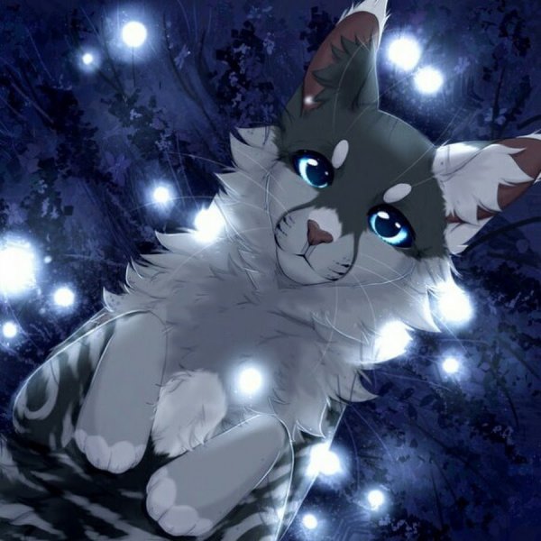 Коты Воители Ласточка