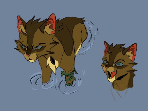 Коты Воители Warriors