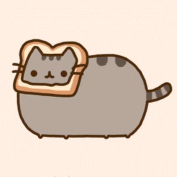 Кавайный котик Пушин