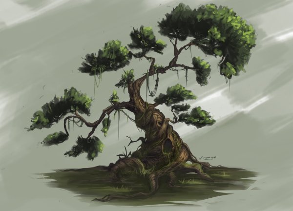 Дерево Утун