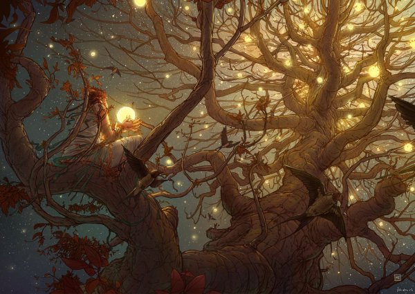 Михал Дзекан (Michal Dziekan)