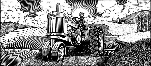 Трактор в поле