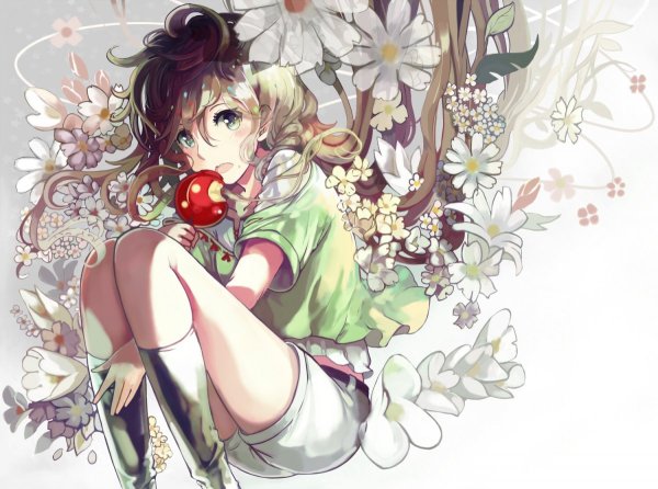 Цветы аниме арт