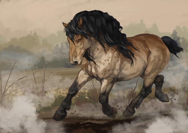 Арты лошадей