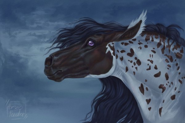 Мустанг лошадь арт