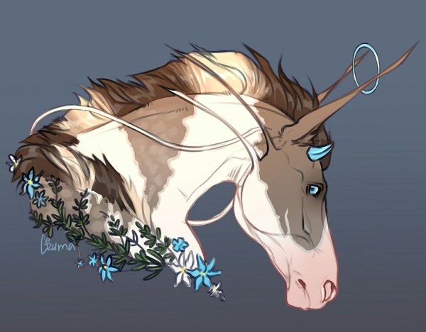 Милые арты лошадей