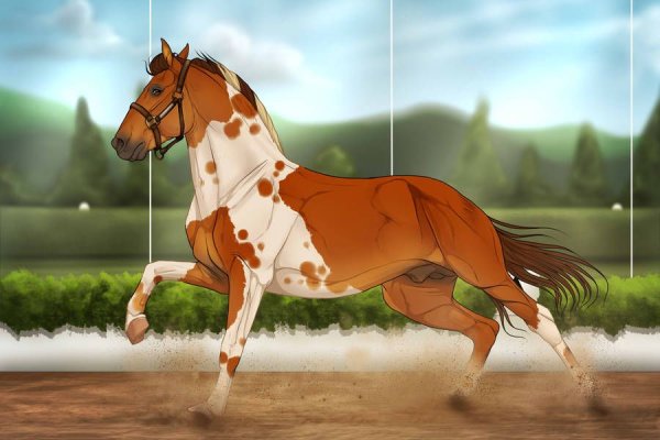 Пегая лошадь арт