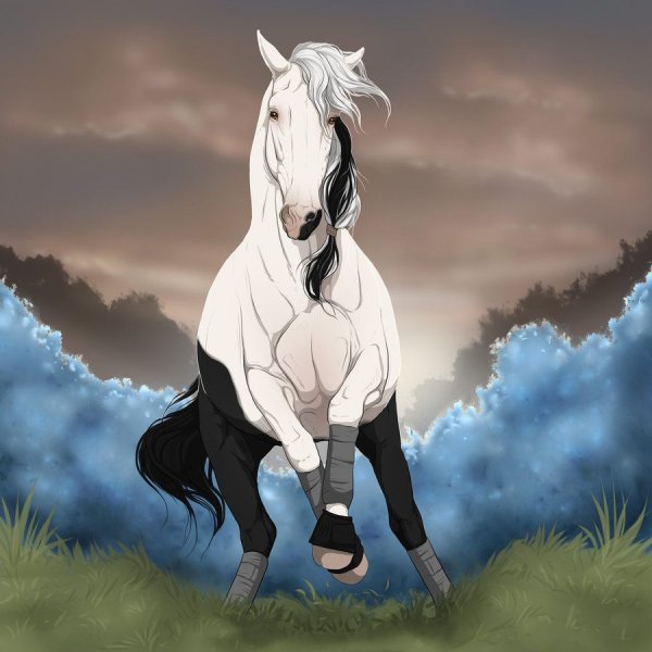 Аниме лошади
