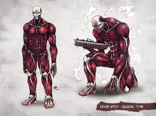 Эрвин колоссальный Титан