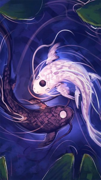 Рыбы Инь Янь