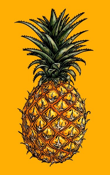 Ананас в мультяшном стиле