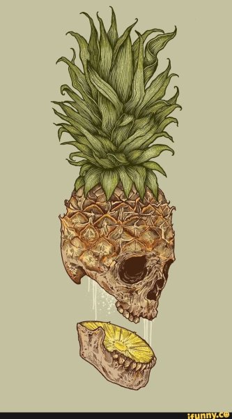 Ананас арты