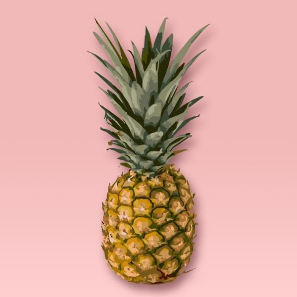 Ананас арт