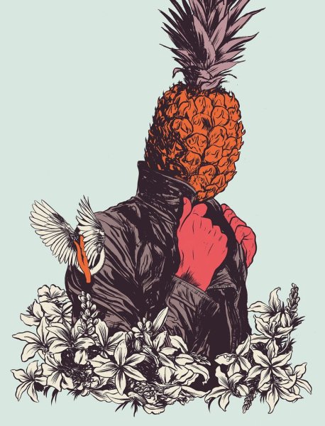 Ананас арты