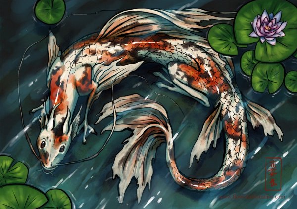 Карпы кои Хаяо Миядзаки