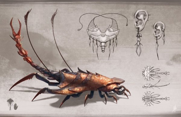 Насекомые арт