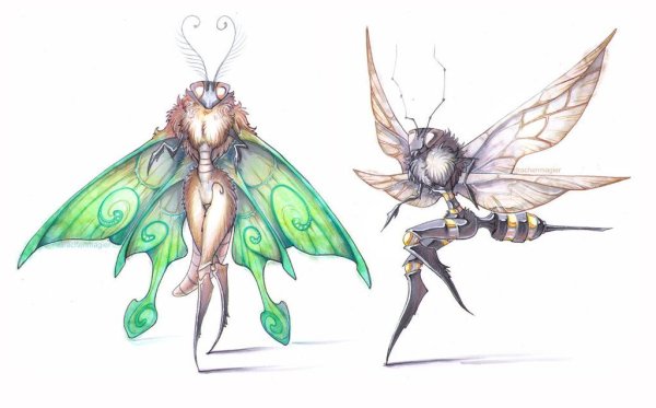 Насекомые арт