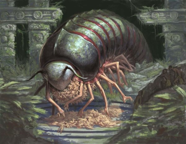 Фэнтези насекомые