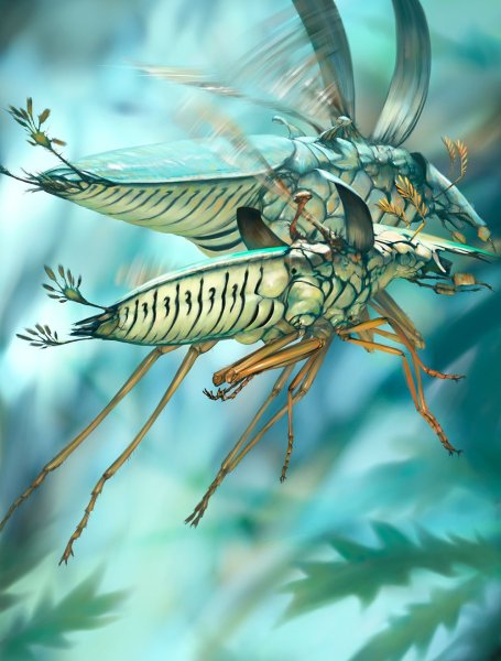 Фантастические насекомые