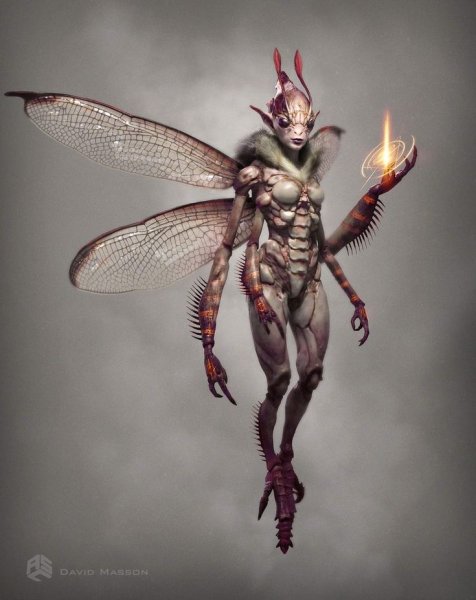 Инсектоид Жук