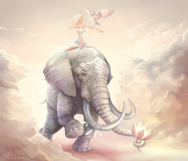 Волшебные слоны