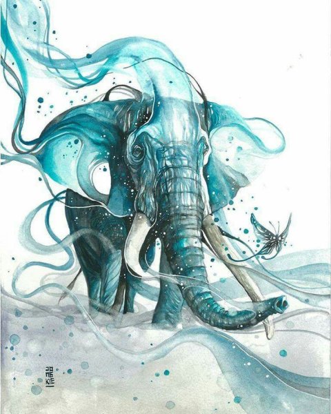 Лукман реза