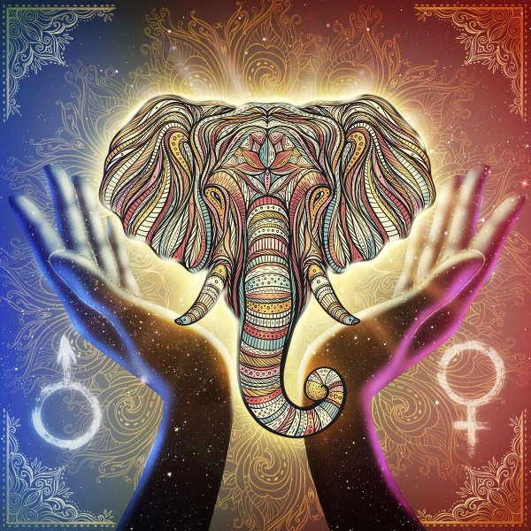 Индийский слон Тотем