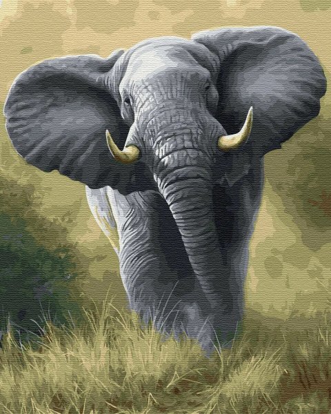 Jeremy Paul картины