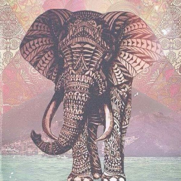 Индия слоны арт