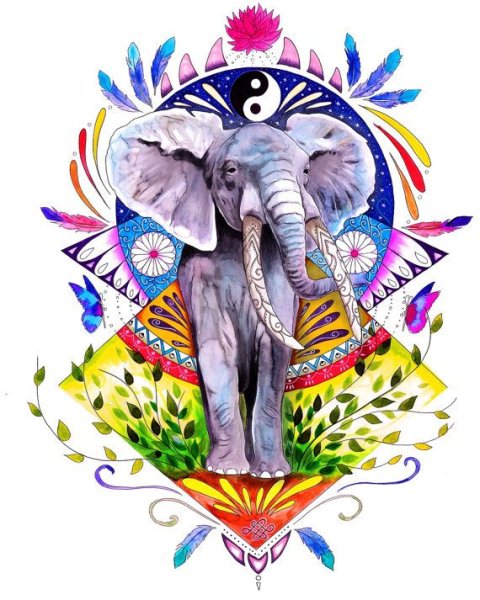 Слон эзотерика