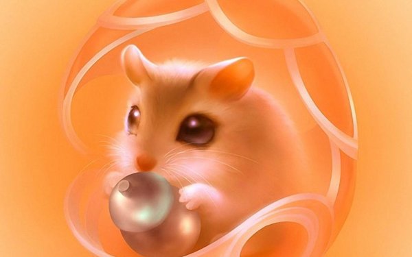 Милые зверюшки.