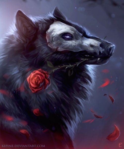 Черный волк арт